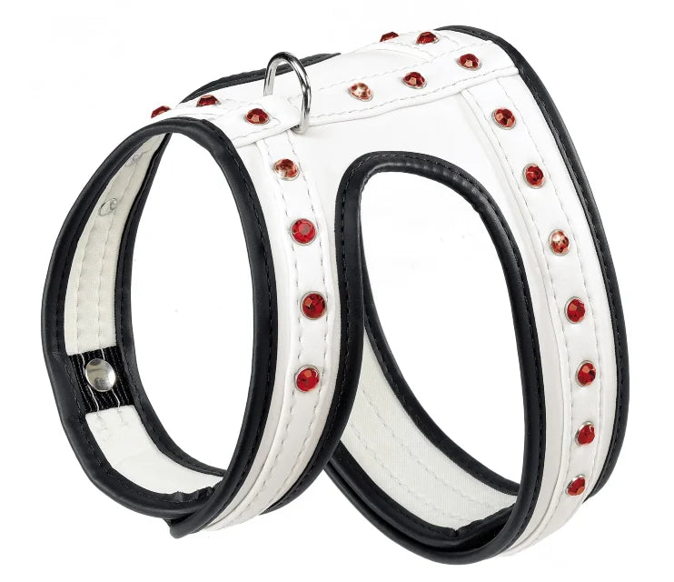 Product image for 14562