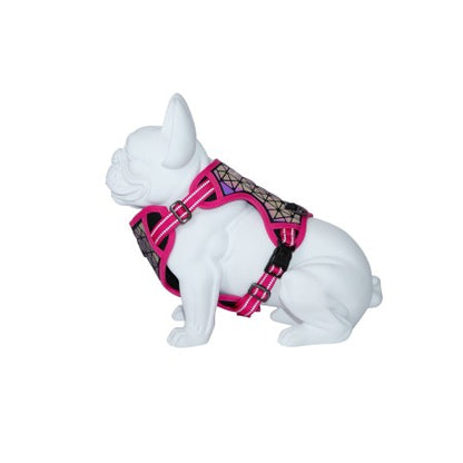 Product image for 16349
