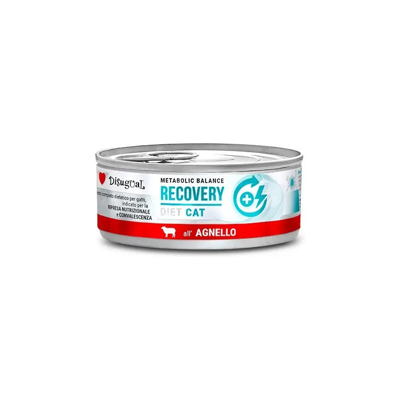 Product image for 10339