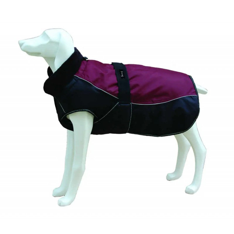 Product image for 16531