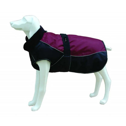 Product image for 16531