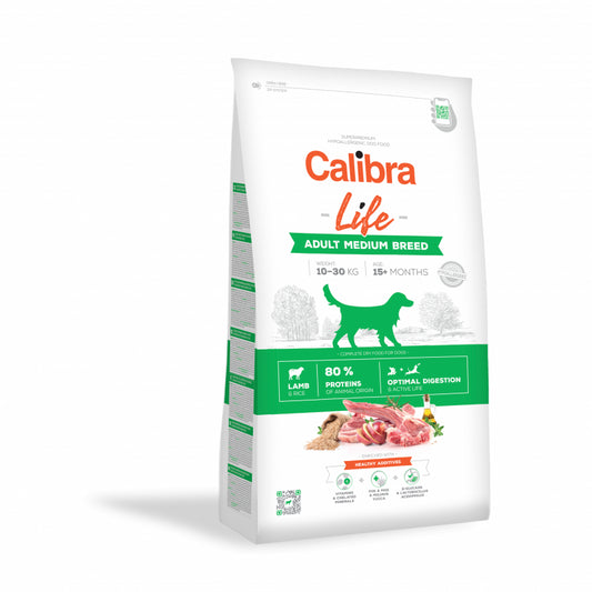 Product image for 10973