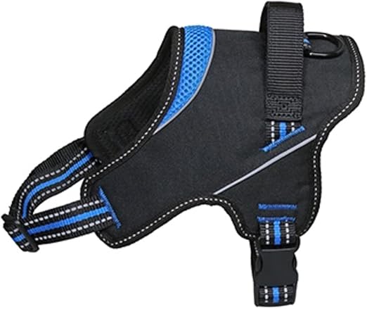Product image for 16253