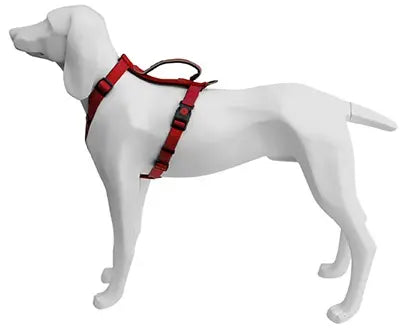 Product image for 16448