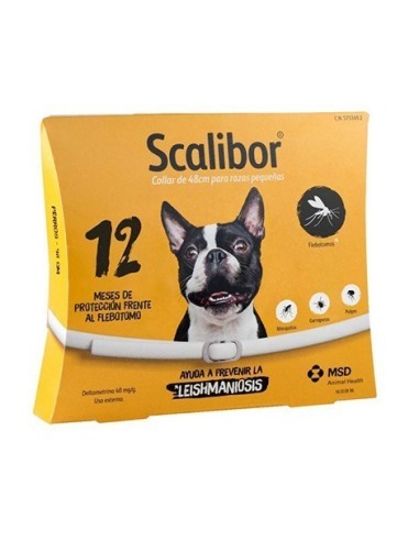 Product image for 19369