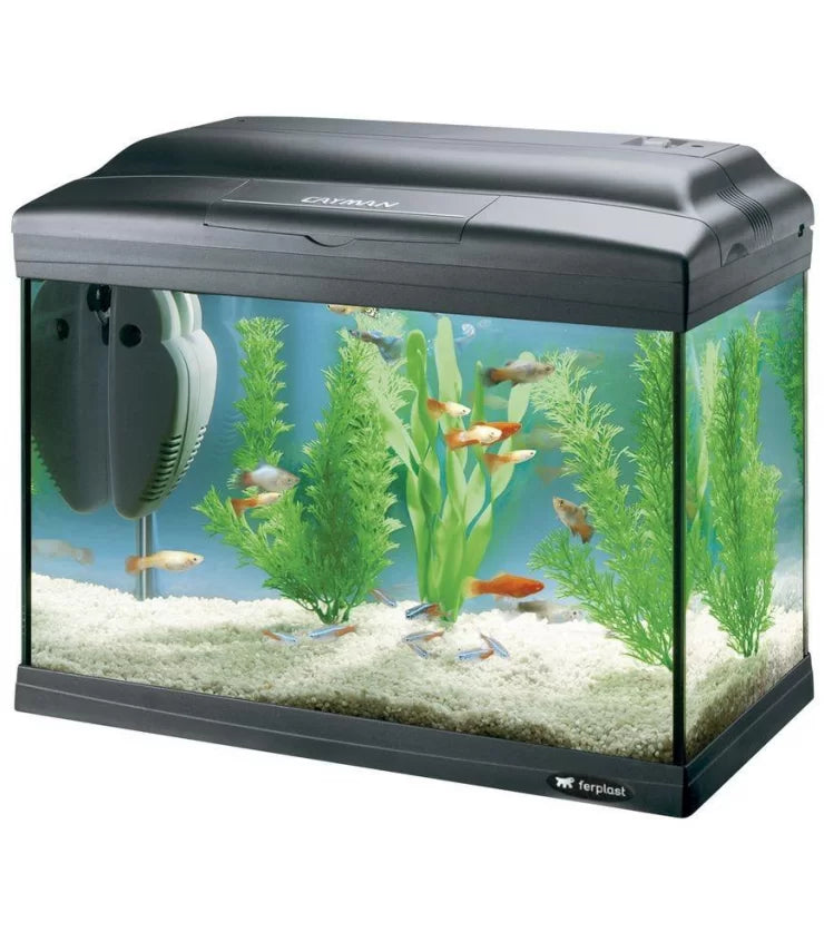 Product image for 15457