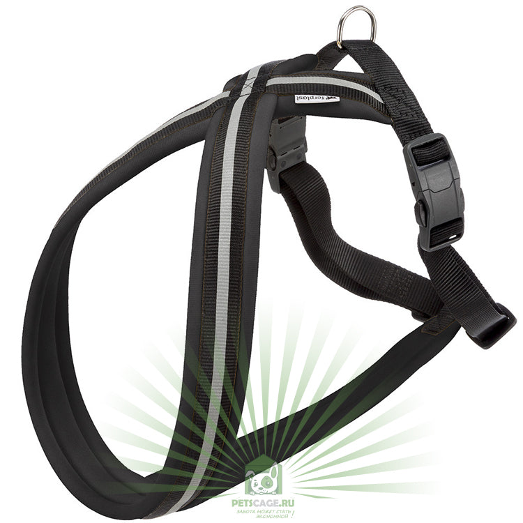 Product image for 15187