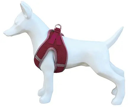 Product image for 16237