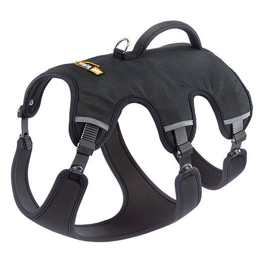 Product image for 15495