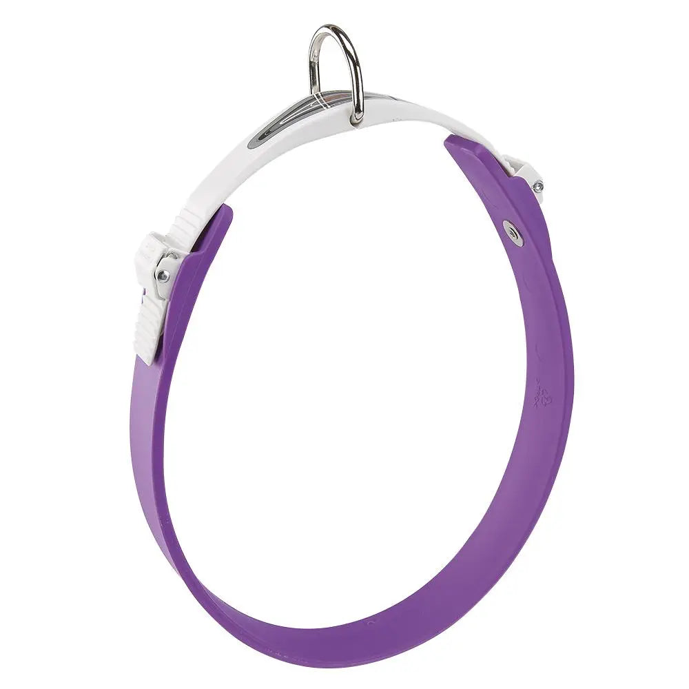Product image for 15529