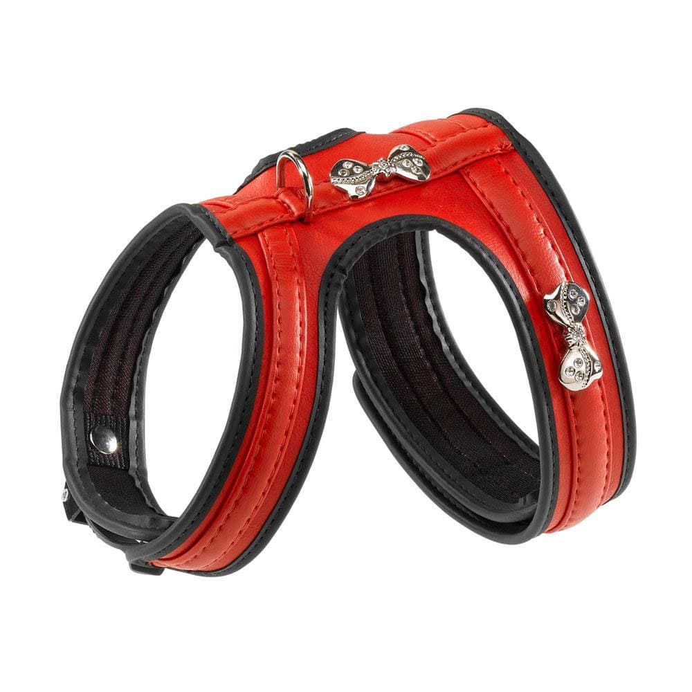 Product image for 14862