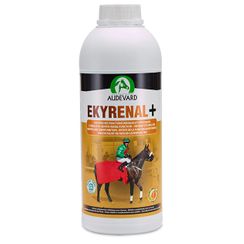 Product image for 9880