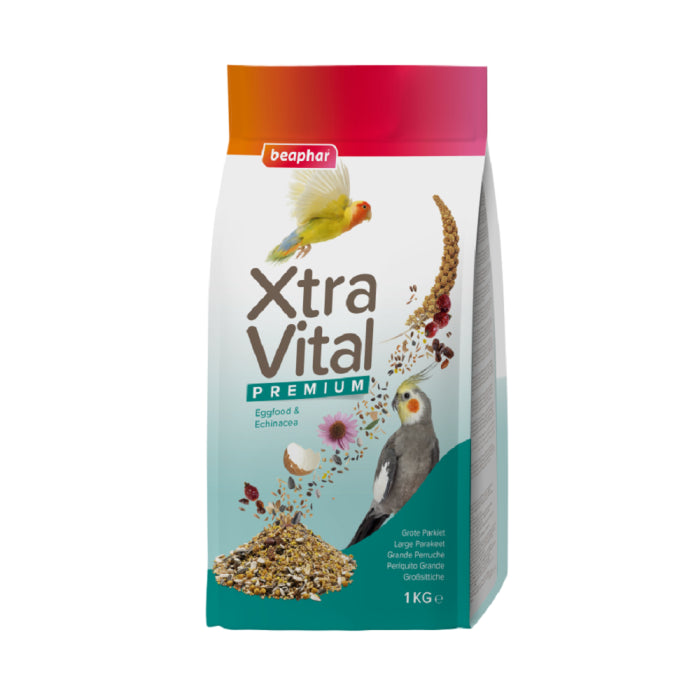 Product image for 10566