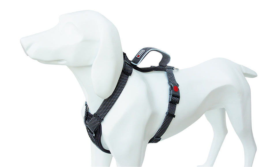 Product image for 16146