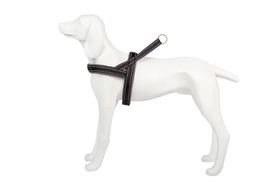 Product image for 16391