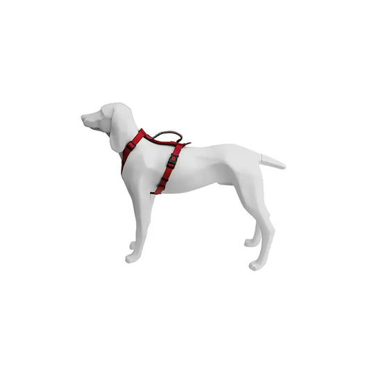 Product image for 16446