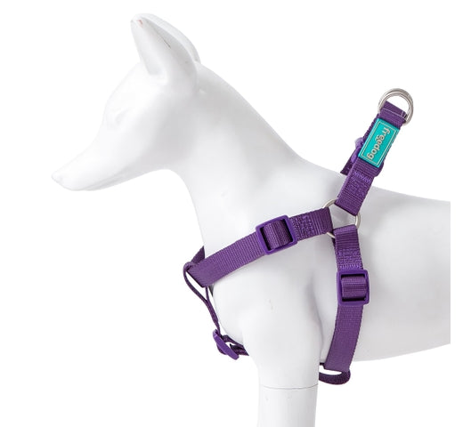 Product image for 16098