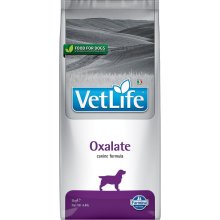 Product image for 13896