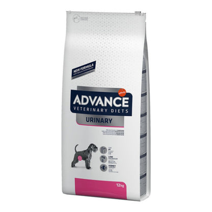 Product image for 9693