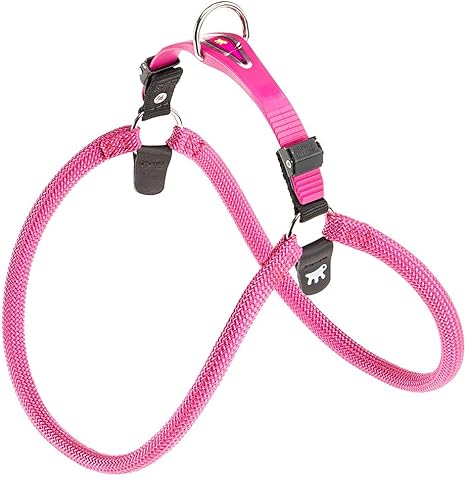 Product image for 15172