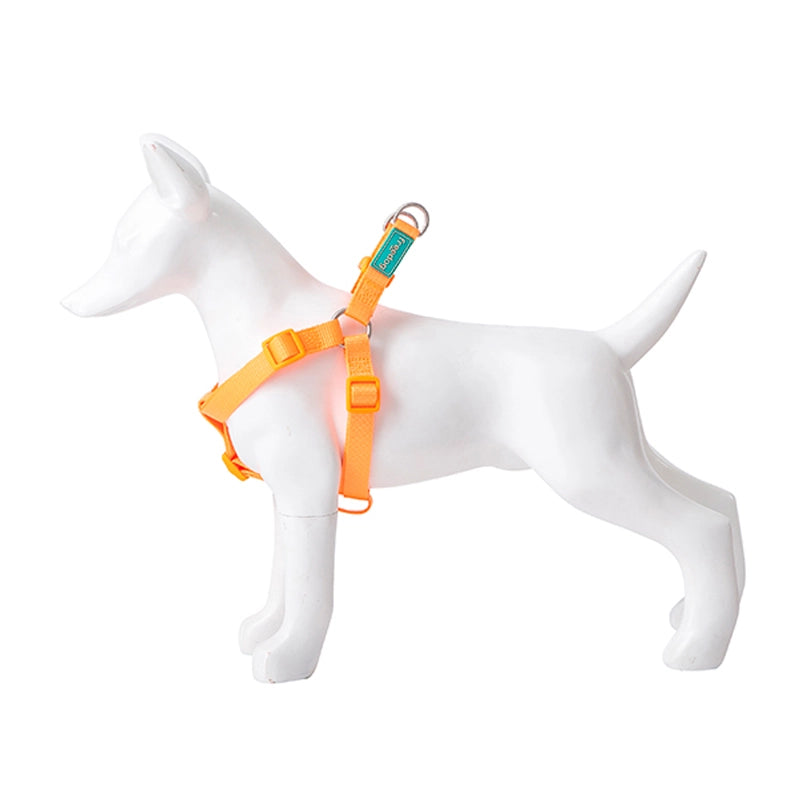 Product image for 16065