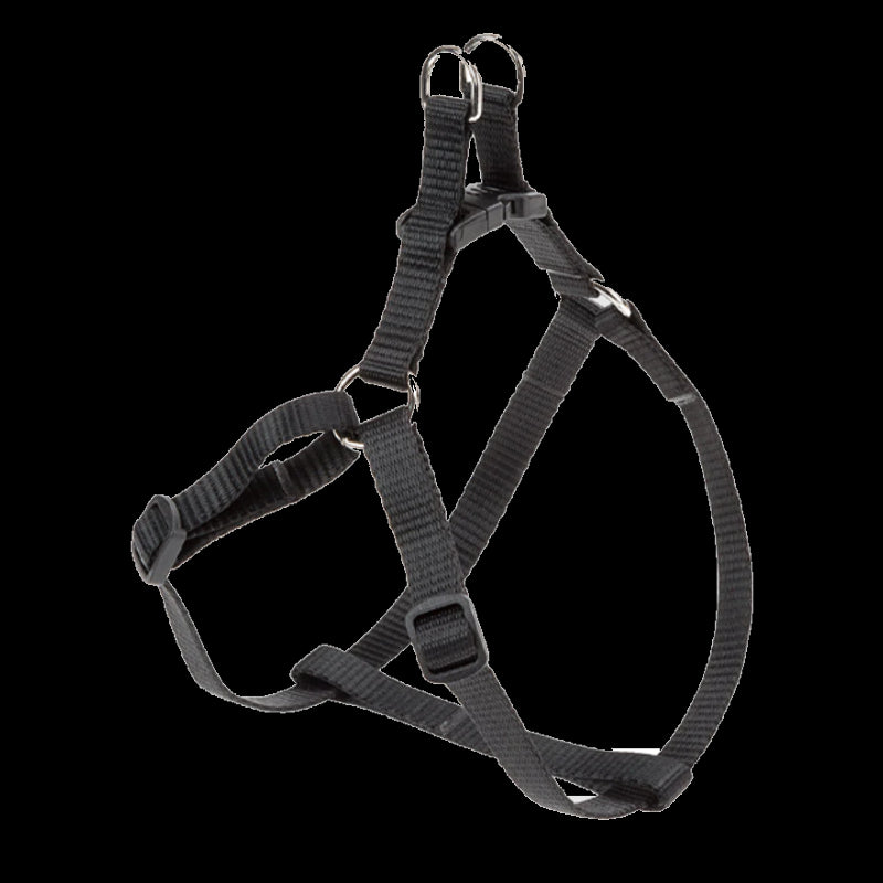 Product image for 15342