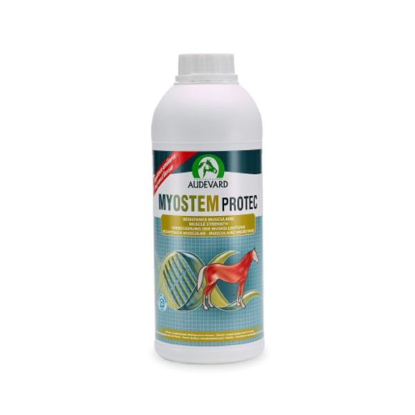 Product image for 10051