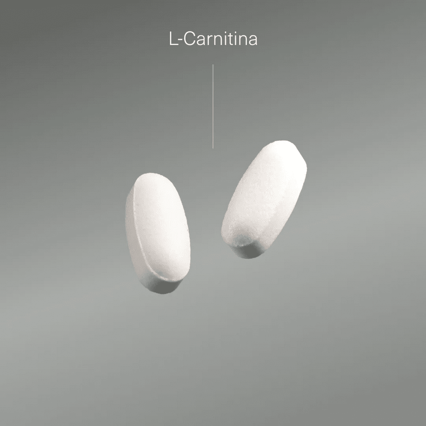 Aldous Bio L Carnitine 2000mg 200 Tablets - farma2go Aldous Bio L Carnitine 2000mg 200 Tablets - farma2go