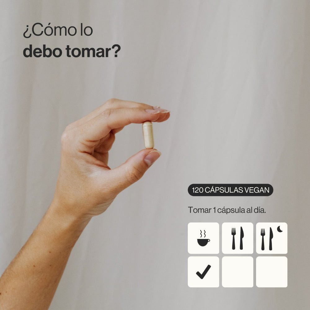 Zenement Melena de León Ecológica 120 cápsulas