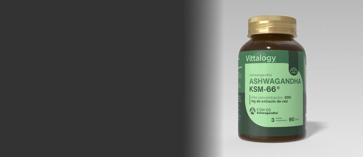 nl-hero-inpost-days-vittalogy-22bb4b