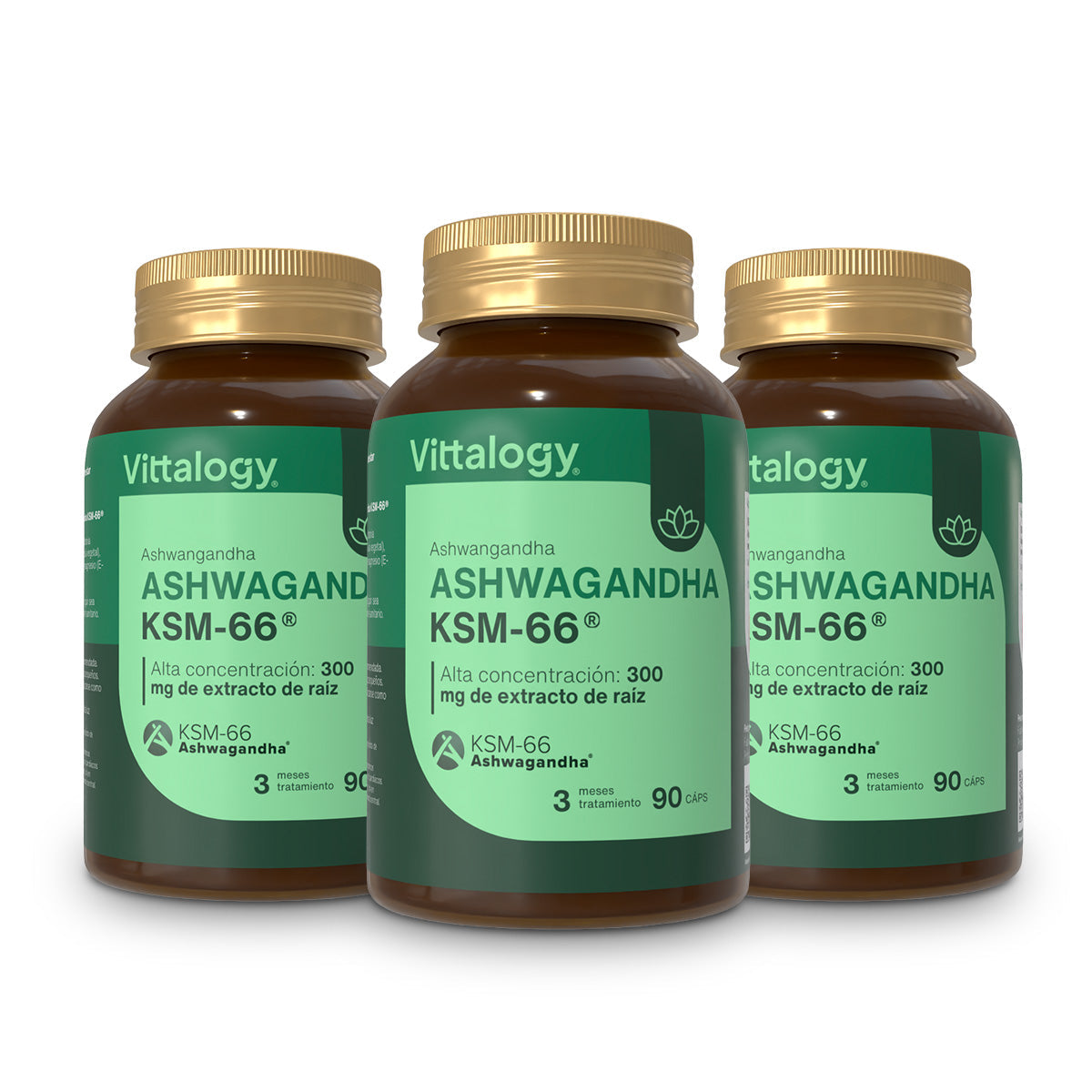 Vittalogy KSM-66 Ashwagandha - 90 cápsulas (Pack de 3)
