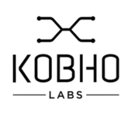 Xmas Gift Kobho Labs