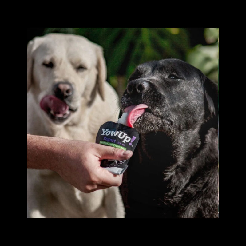 YowUp Yogurt Natural Prebiotics para Perros 115 gr Pack 3 unid
