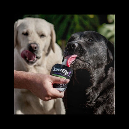 YowUp Yogurt Natural Prebiotics para Perros 115 gr Pack 3 unid